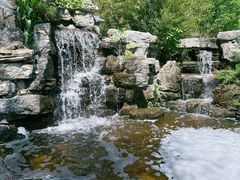 -南宫五洲植物乐园