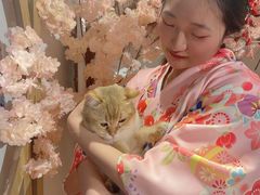 -南京Hallo宠物乐园·哈罗犬舍·柴犬繁育基地