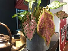 -受气牛肉·重庆耙牛肉(来福士店)