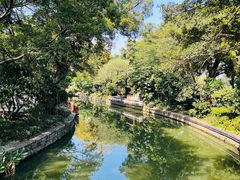 -荔湾湖公园