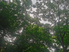 -八大关景区