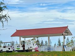 -杭州湾海上花田景区