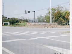 -大塘金香草谷