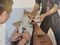 -COSTA COFFEE(新奥购物中心店)