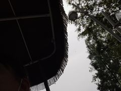 -日照海滨国家森林公园