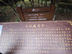 -铁山坪森林公园