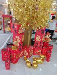 -宝生月子中心·独栋独院式(南山店)