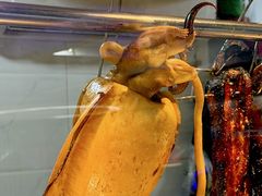 -东江海鲜大排档·潮汕菜·砂锅粥