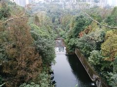 -重庆彩云湖湿地公园