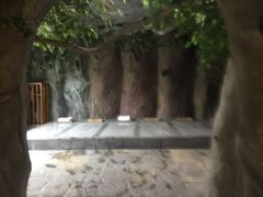 -御泉湾养生汤泉