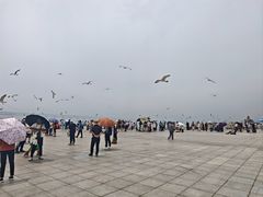 -星海广场