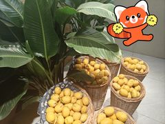 -昆明南亚风情园豪生大酒店The Riviera Cafe豪生咖啡厅
