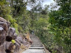 -广州白江湖森林公园