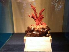 -绮丽珊瑚(台北101旗舰门市店)