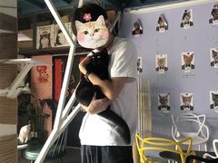 -喵屿·大理花园猫咖