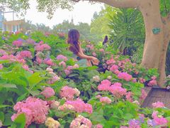 -广西壮族自治区药用植物园