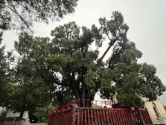-四门塔风景区
