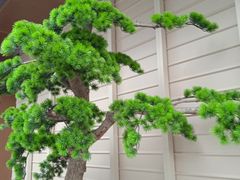 -玉林生活广场