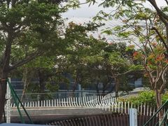-招商蛇口邮轮母港(观光客运)