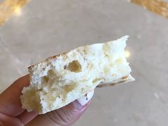 -眼镜粑粑
