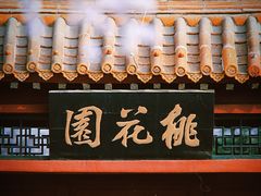 -桃花堤公园