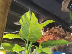 -城墙拐拐火锅(三峡广场黑金冠店)