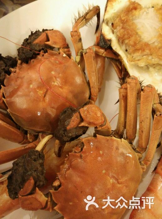 百汇龙宫-图片-沈阳休闲娱乐-大众点评网