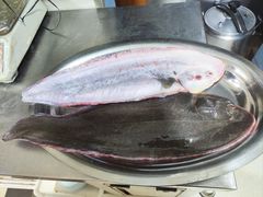 -宾朋海鲜饭庄(兴海路店)