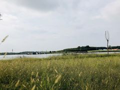 -梁子湖东篱老屋生态庄园