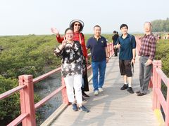 -北海金海湾红树林生态旅游区