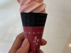 -京华烟云·北京烤鸭(领展购物广场·中关村店)
