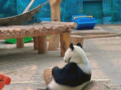 -沈阳森林动物园