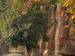 -杭州野生动物世界