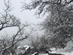 -香山公园