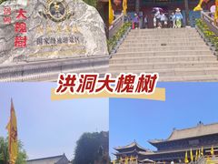 -大槐树寻根祭祖园