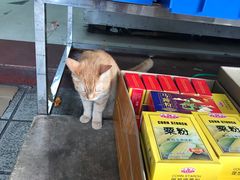 -南泰百货批发市场