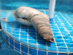 -东湖食堂·湖景餐厅•会议