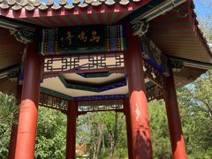 -云岗森林公园
