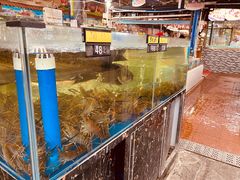 -绿雅居原生态农庄(小涌店)