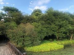 -八卦田遗址公园