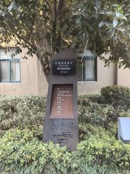 -杭州运河黄龙璀丽酒店-宴会厅