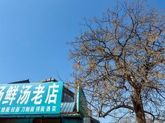 -郭记羊双肠鲜汤馆