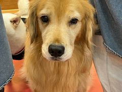 -和它·交个朋友·狗咖猫咖(爱琴海店)