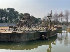 -合肥野生动物园