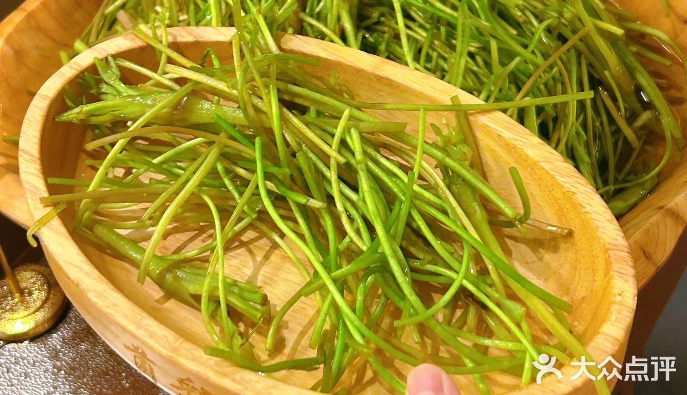 今天来吃素菜不限量自助的菌彩火锅～