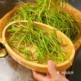 今天来吃素菜不限量自助的菌彩火锅～