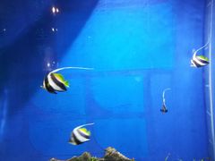 -福州罗源湾海洋世界旅游区