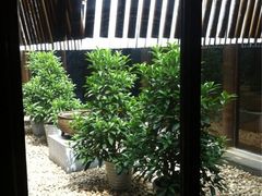 iphone_upload_pic-粗茶淡饭·隐庐私厨(东亭店)