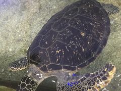 -鸿通城购物中心