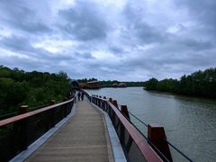 -东寨港红树林旅游区